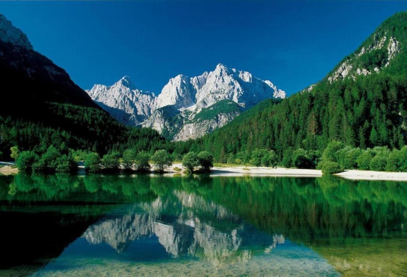 Apartmaji "La Vie Est Belle" ครานสกา โกรา ภายนอก รูปภาพ